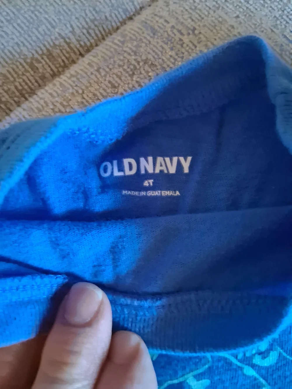 Old Navy Blue Long Sleeve Mountain Graphic Tee with Light Green Print Sz 4T